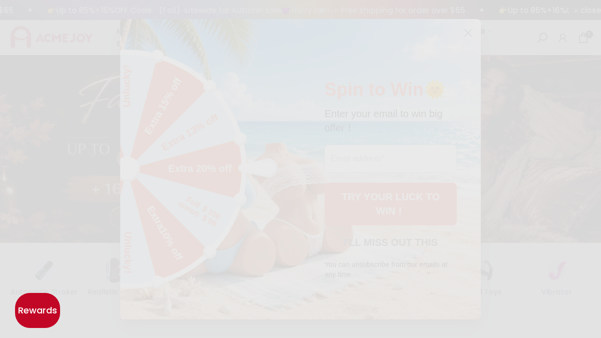 AcmeJoy website preview