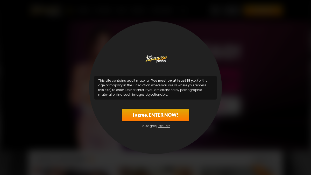 All Japanese Pass website preview