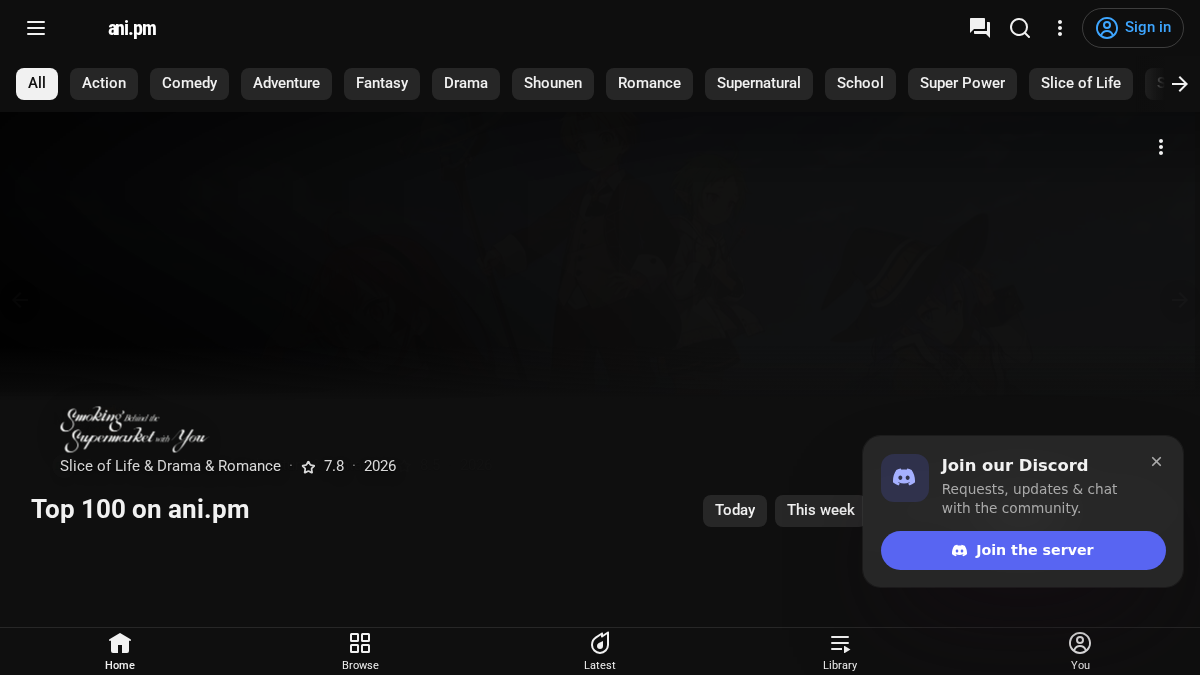 ANI PM website preview