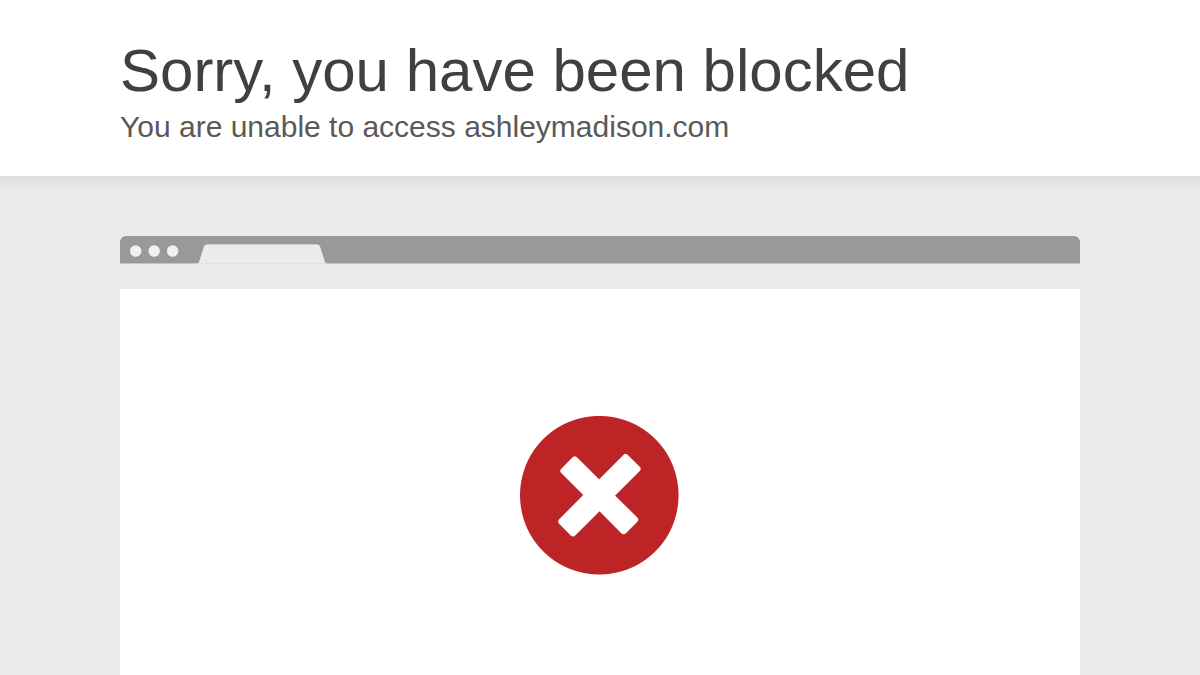 Ashley Madison website preview