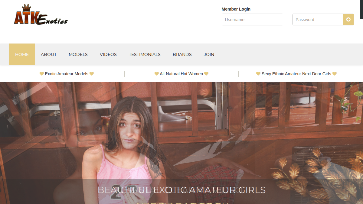 ATK Exotics website preview