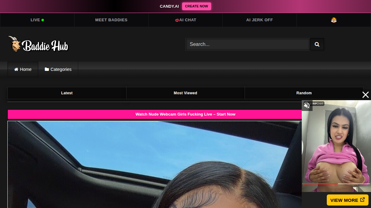 BaddieHub website preview