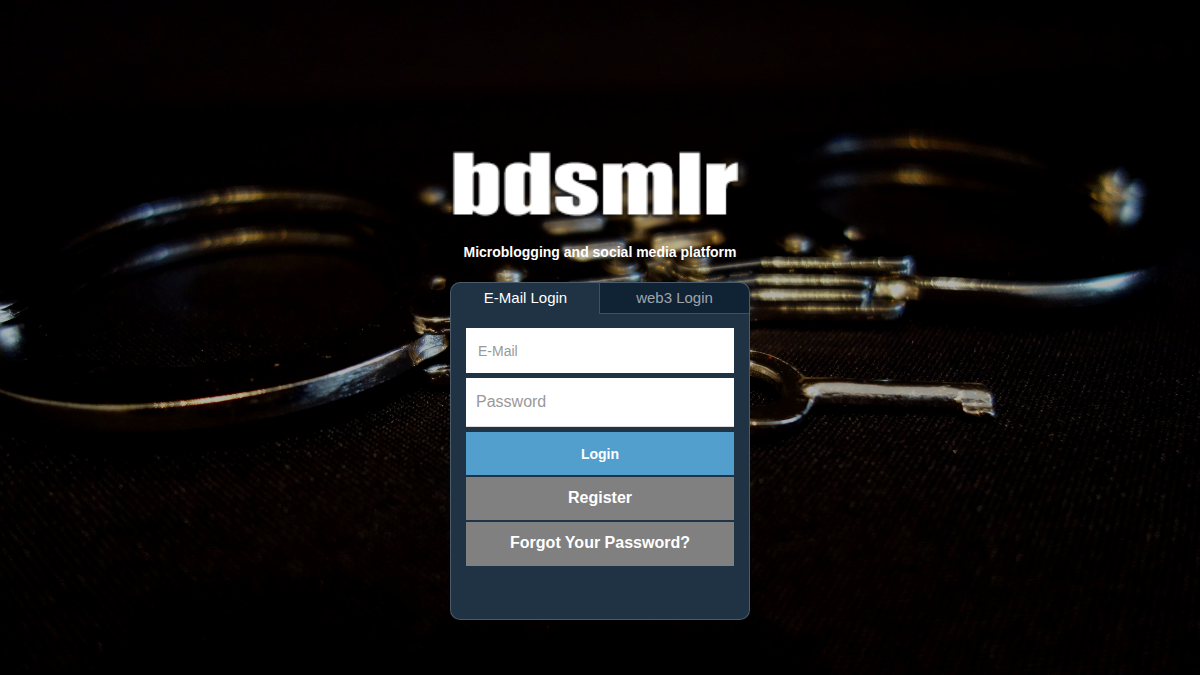 Bdsmlr website preview