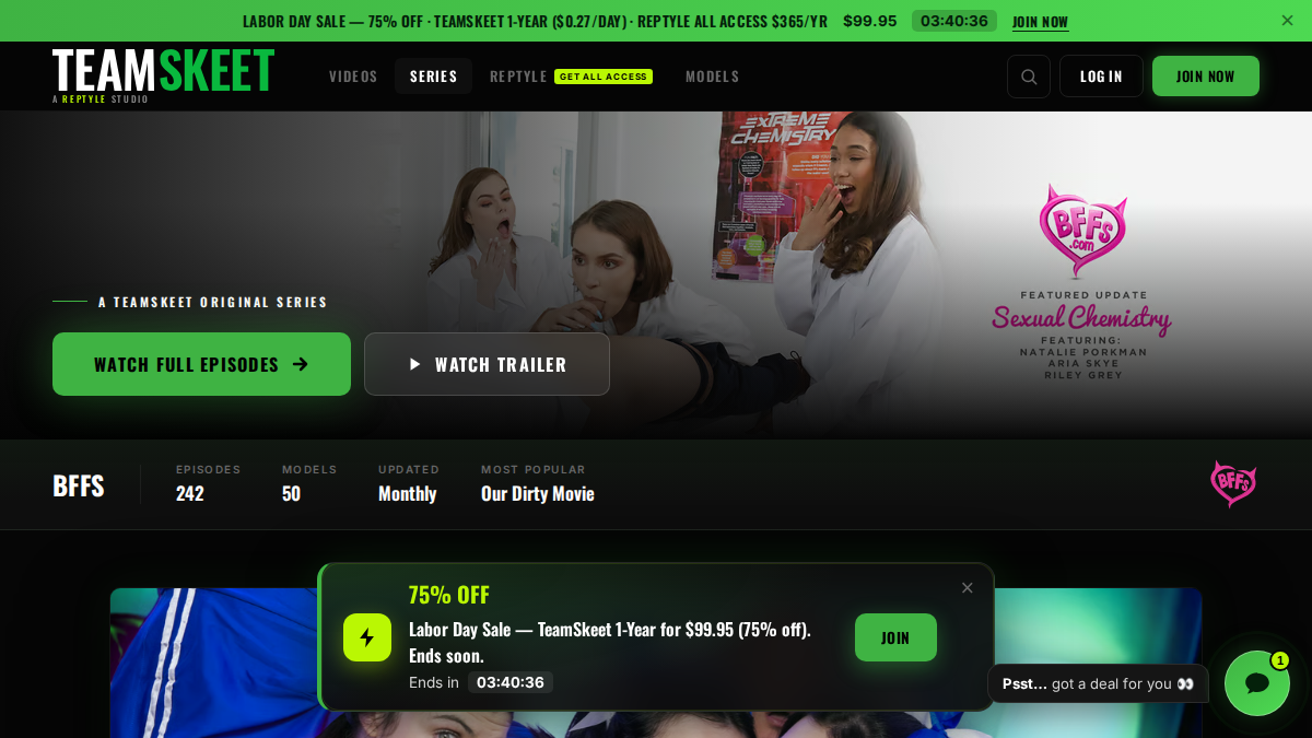 BFFS website preview