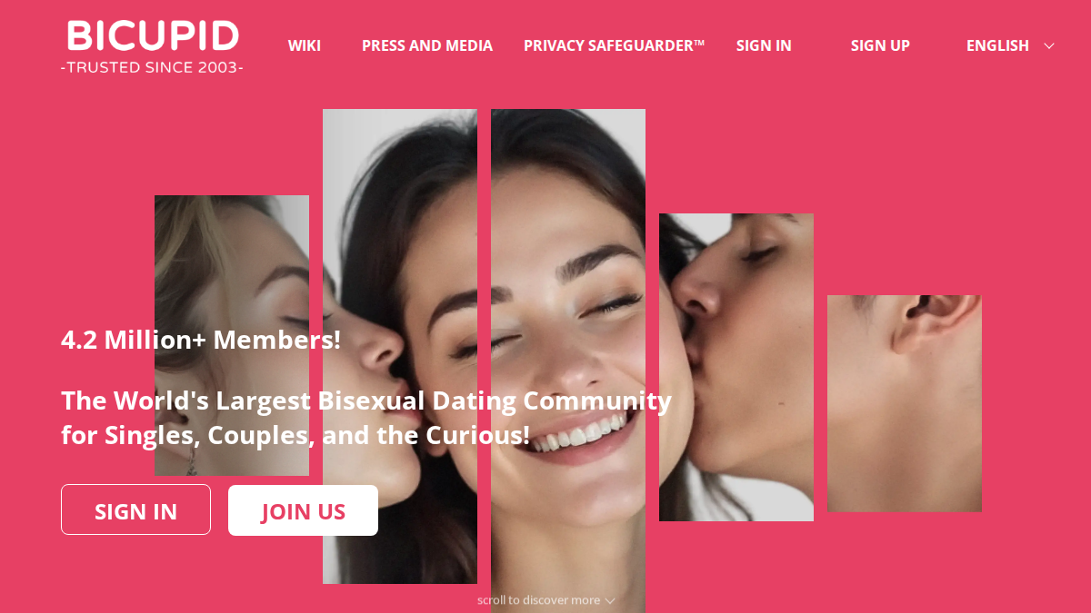 BiCupid website preview