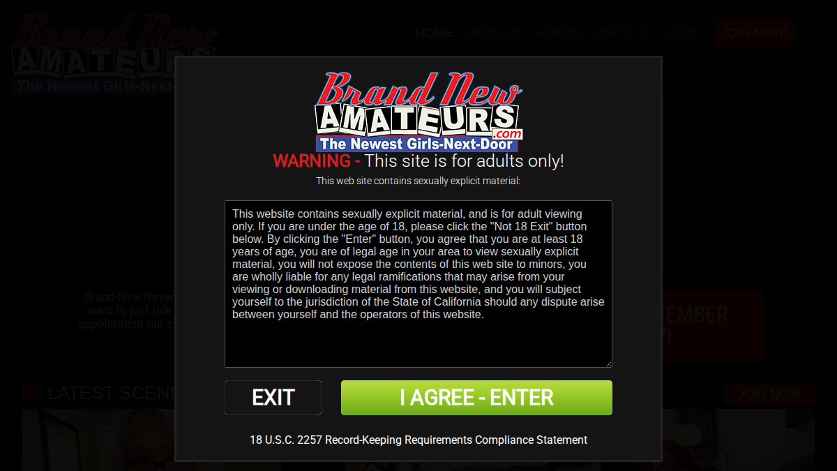 Brand New Amateurs website preview