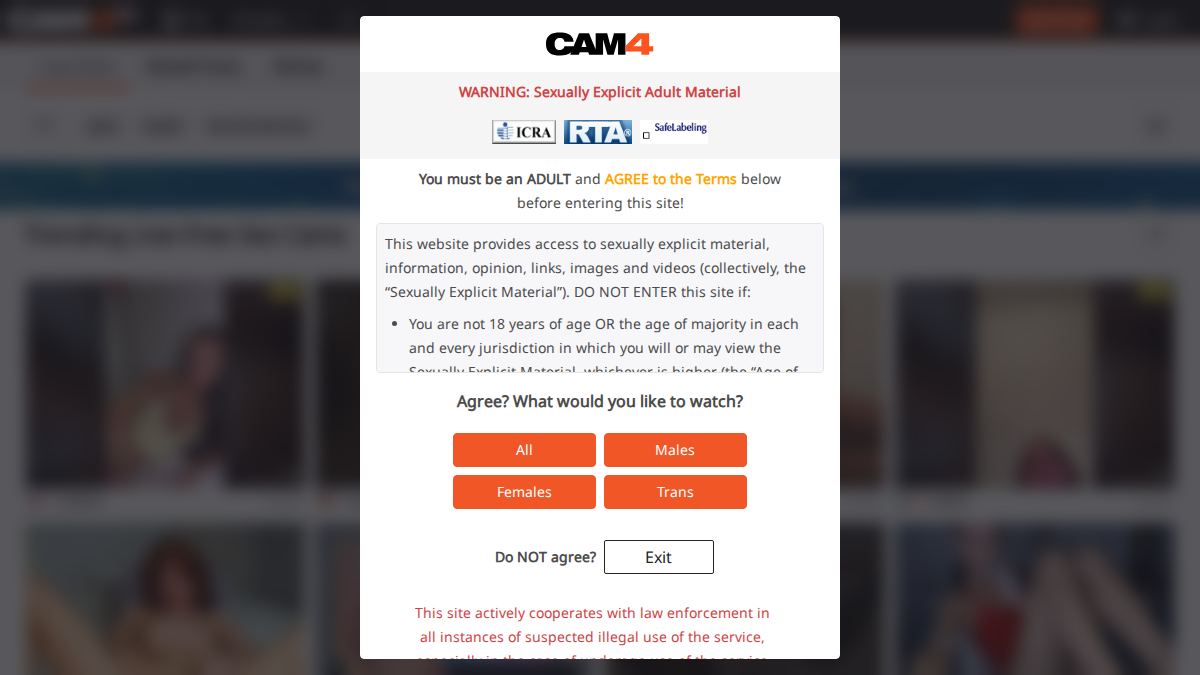 Cam4 website preview