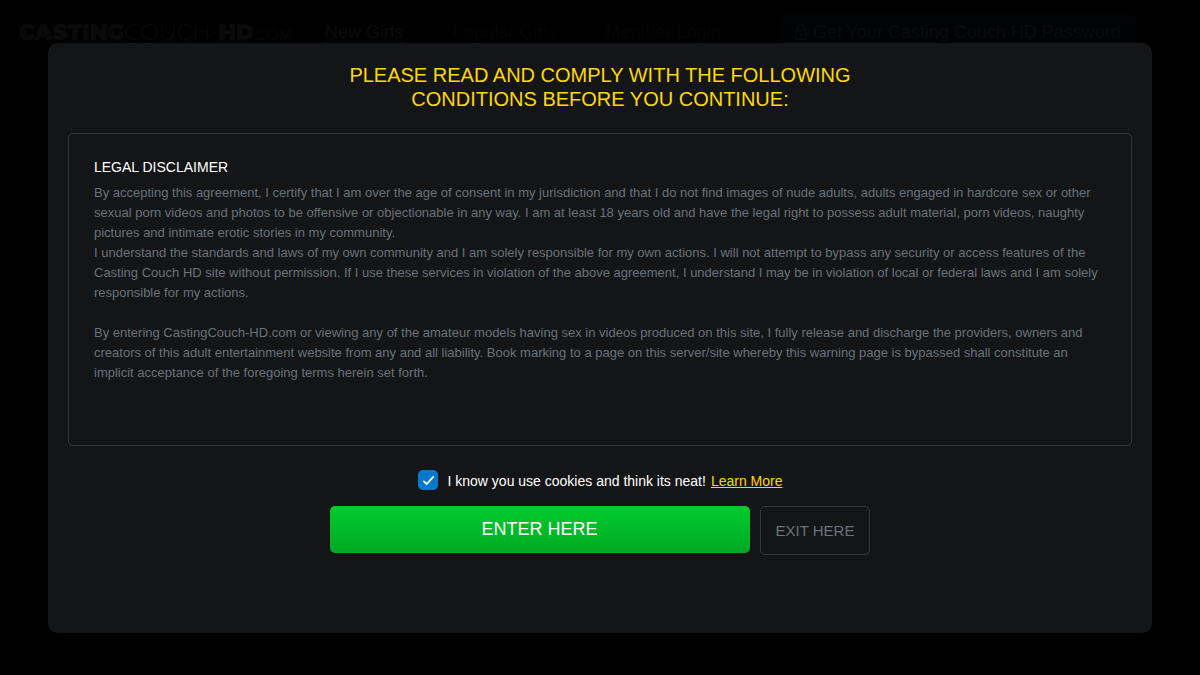 Casting Couch HD website preview
