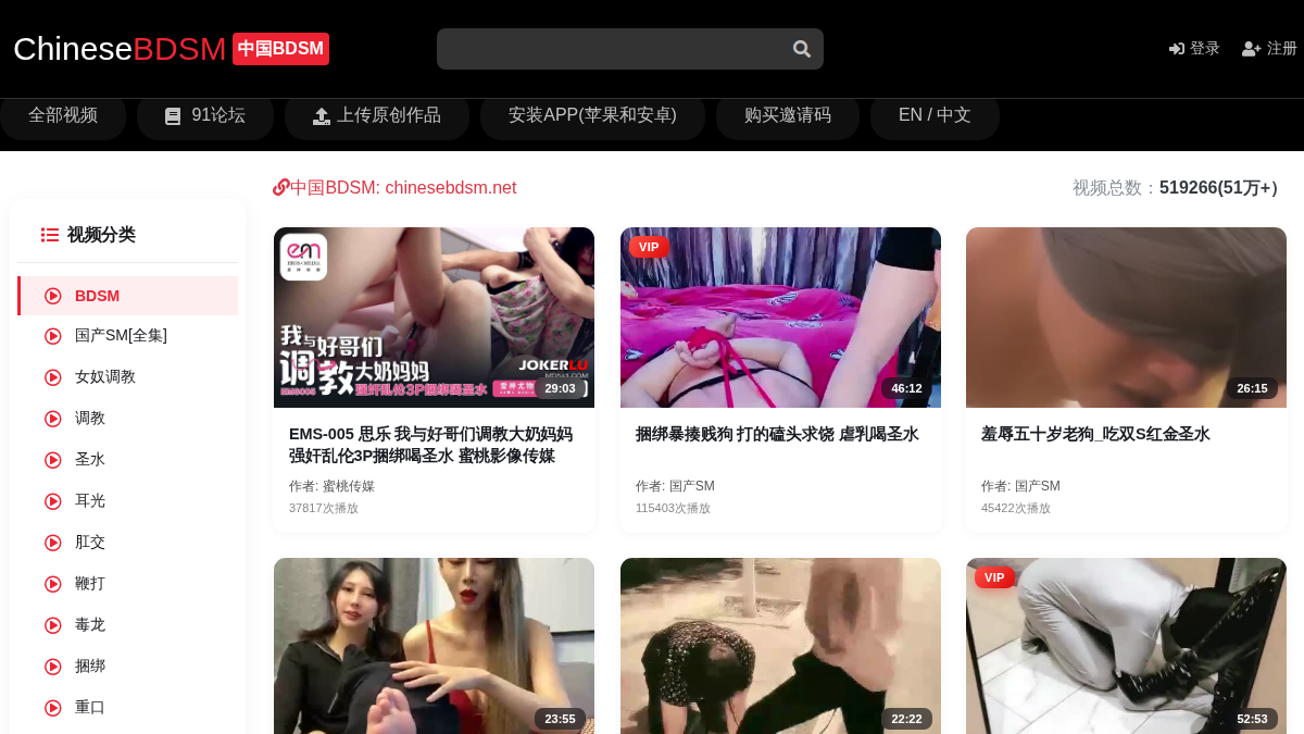 Chinese BDSM website preview