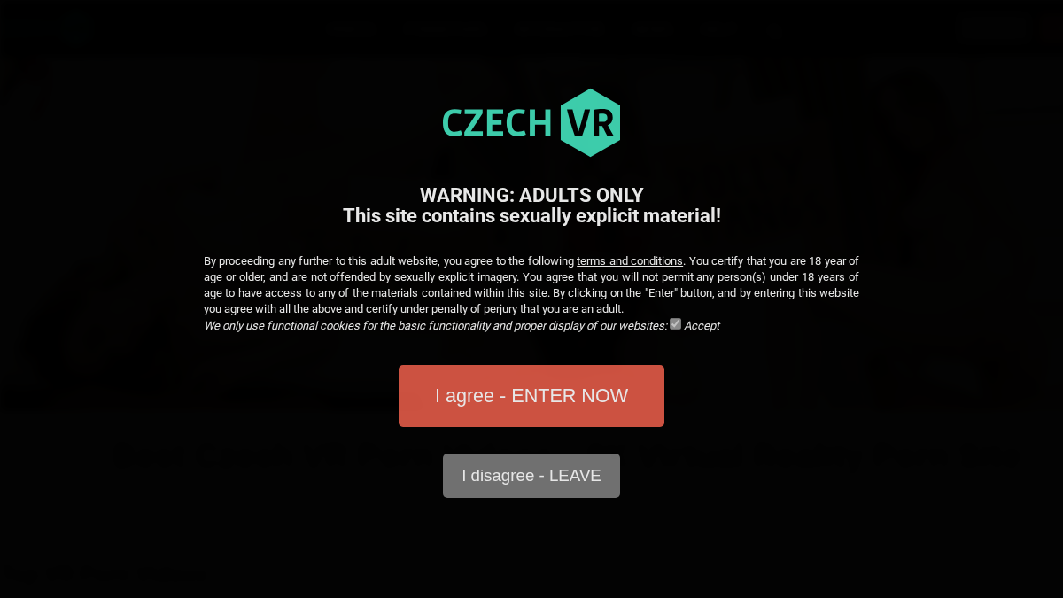 CzechVR website preview