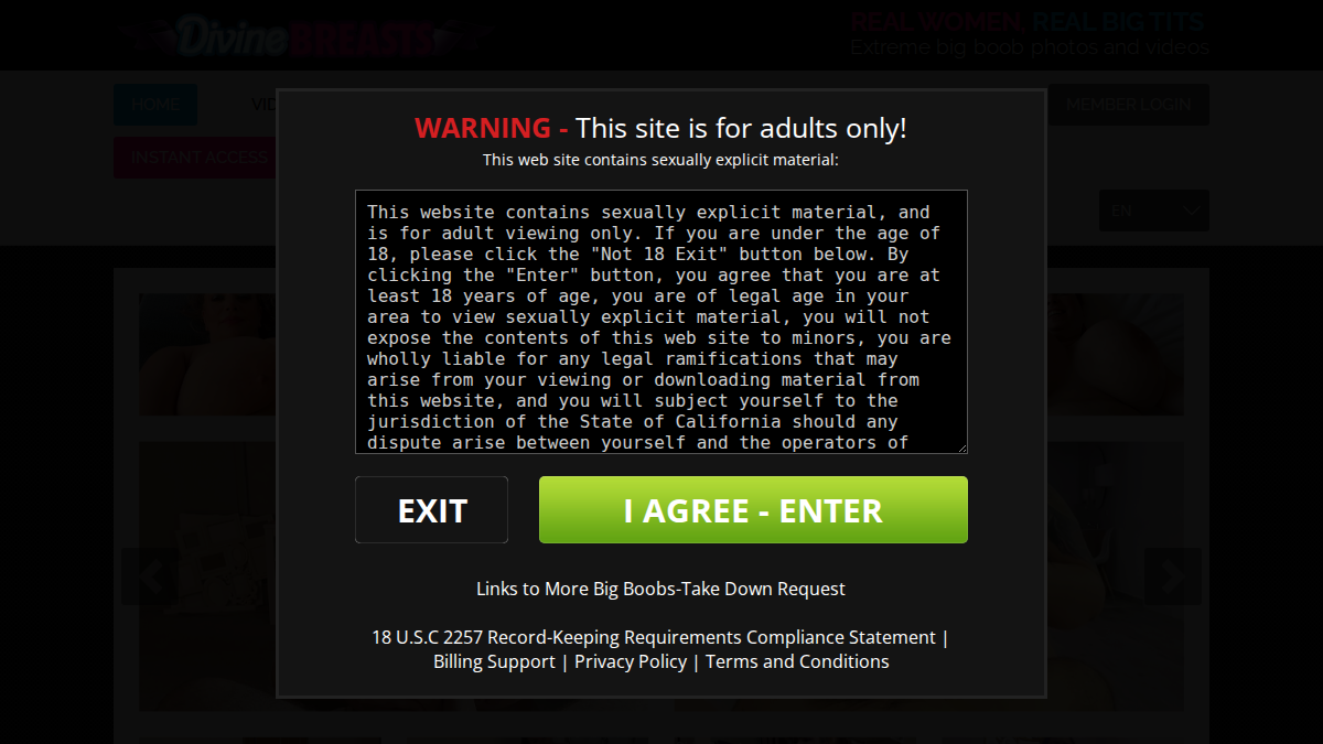 Divine Breasts website preview