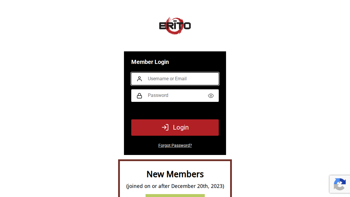 Erito website preview