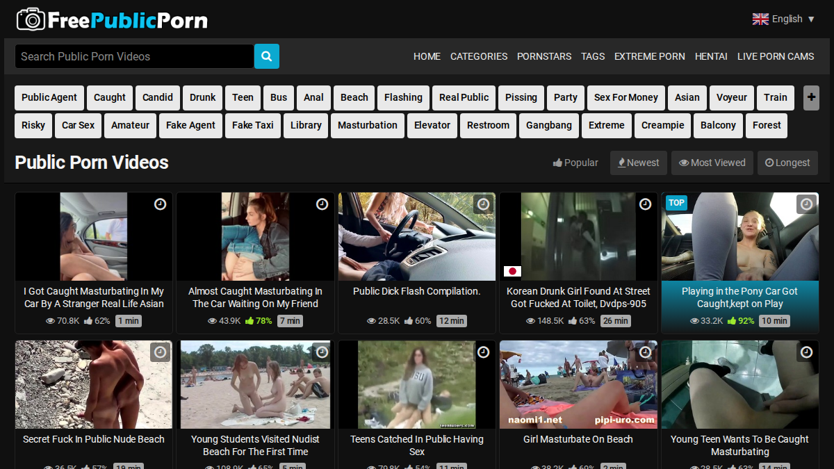 FreePublicPorn website preview