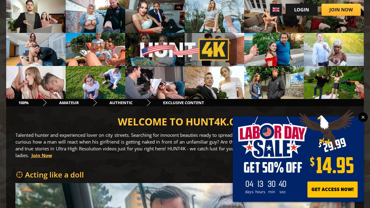 Hunt4K website preview