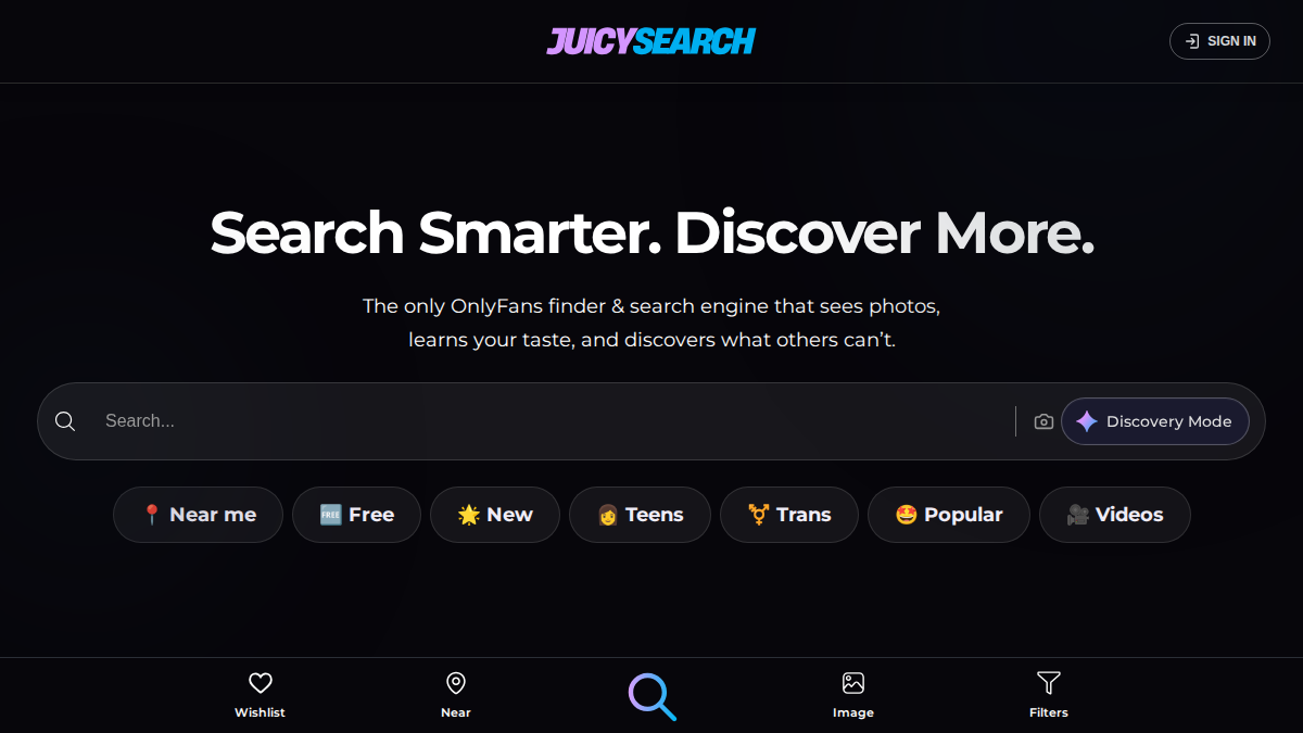 JuicySearch website preview