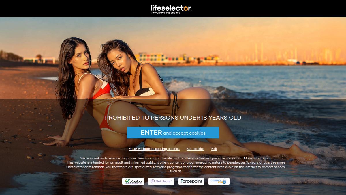 LifeSelector website preview