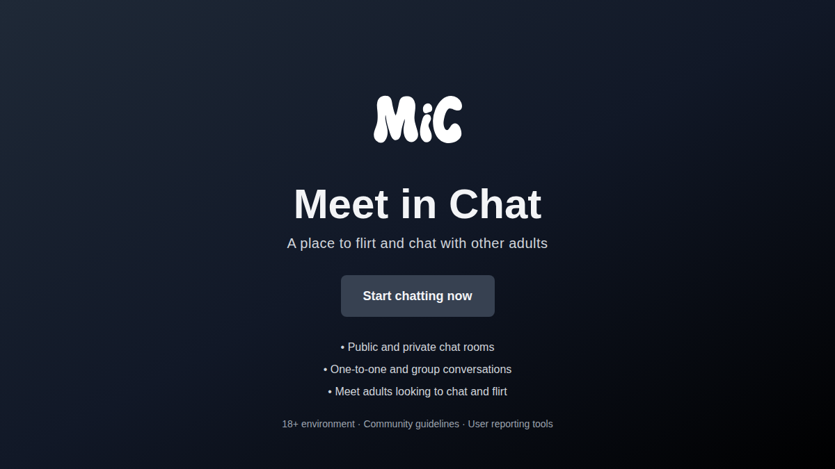 Meet In Chat website preview