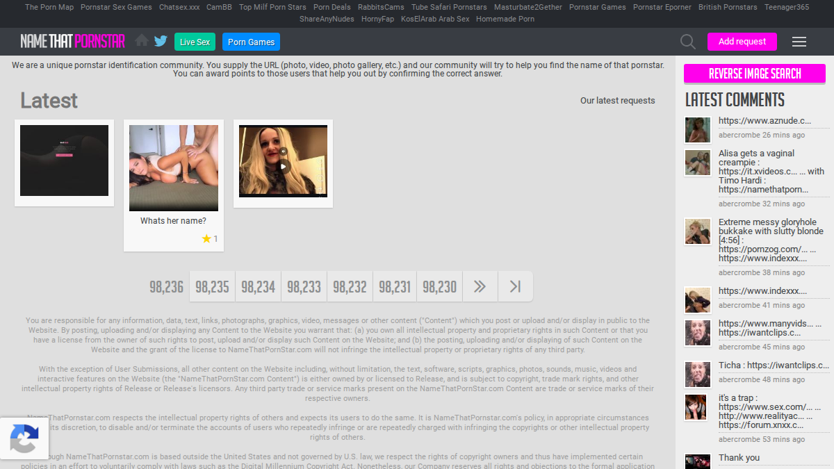NameThatPornstar website preview