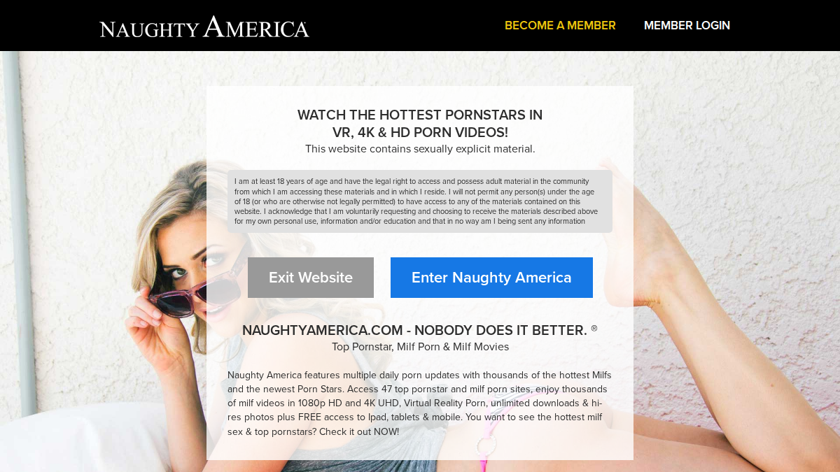 Naughty America website preview