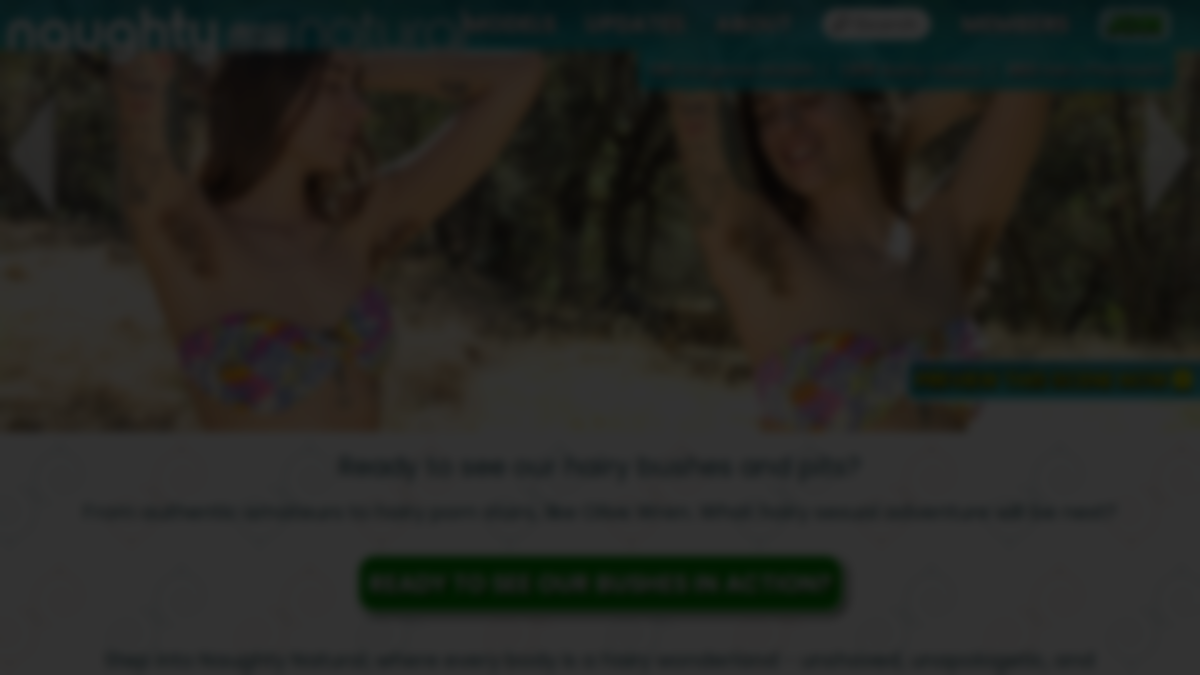 Naughty Natural website preview