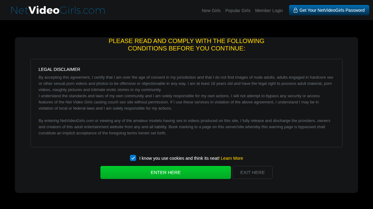 NetVideoGirls website preview