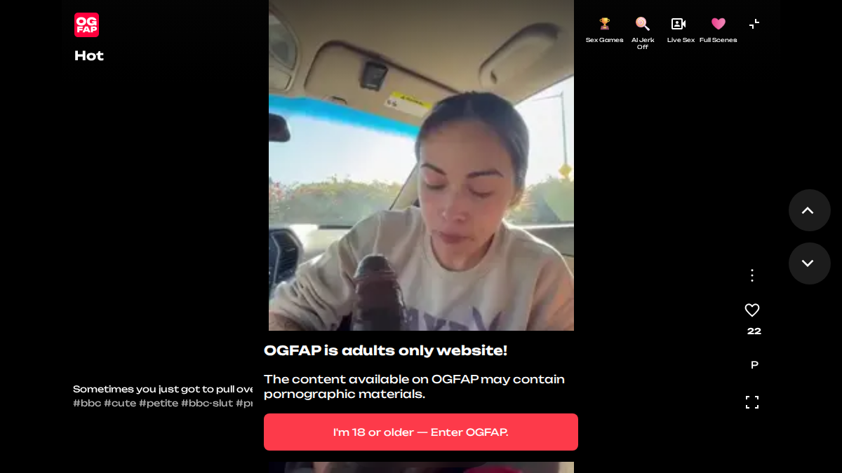 OGFAP website preview