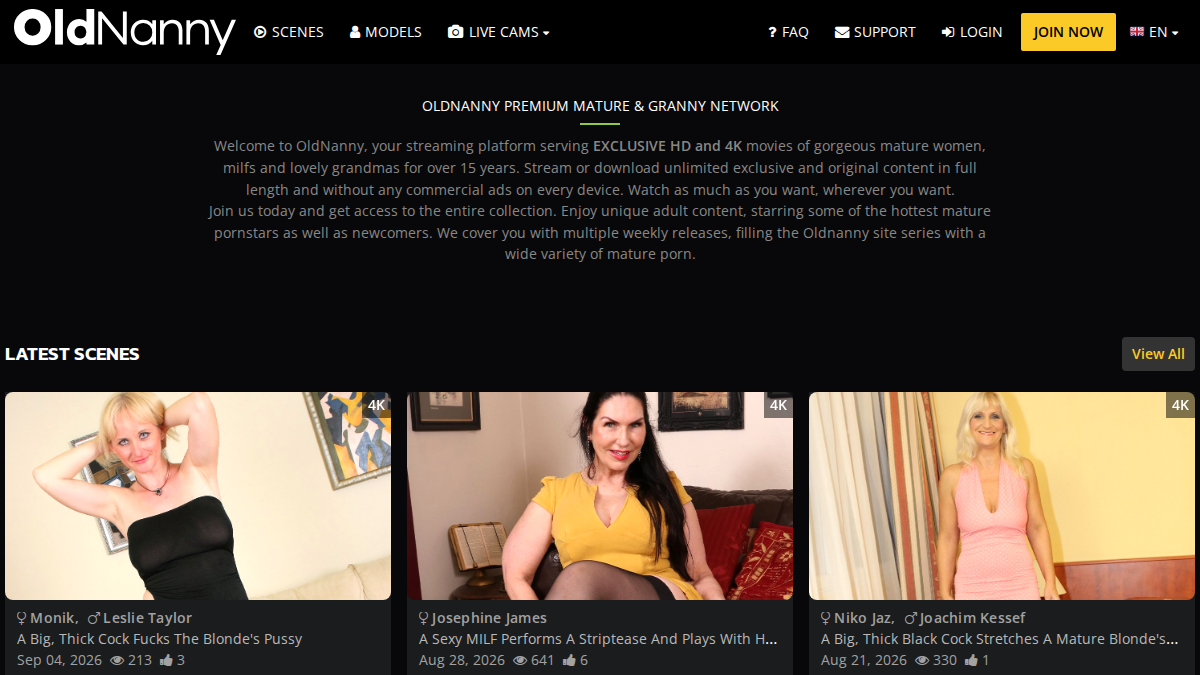 Old Nanny website preview