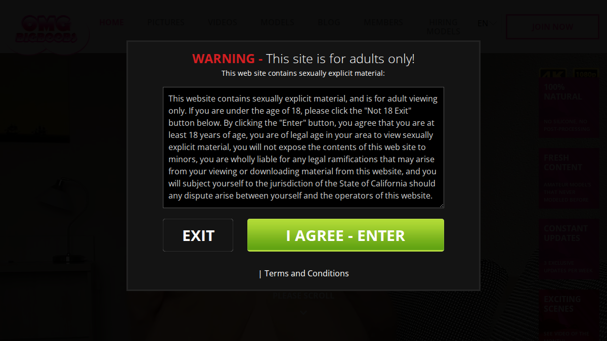 OMGBigBoobs website preview