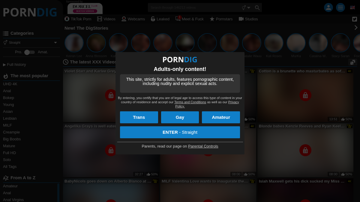 PornDig website preview