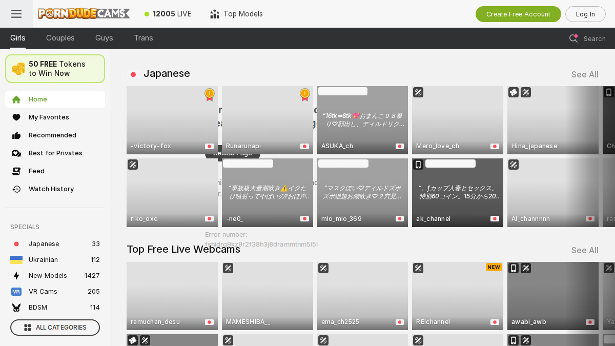 PornDudeCams website preview