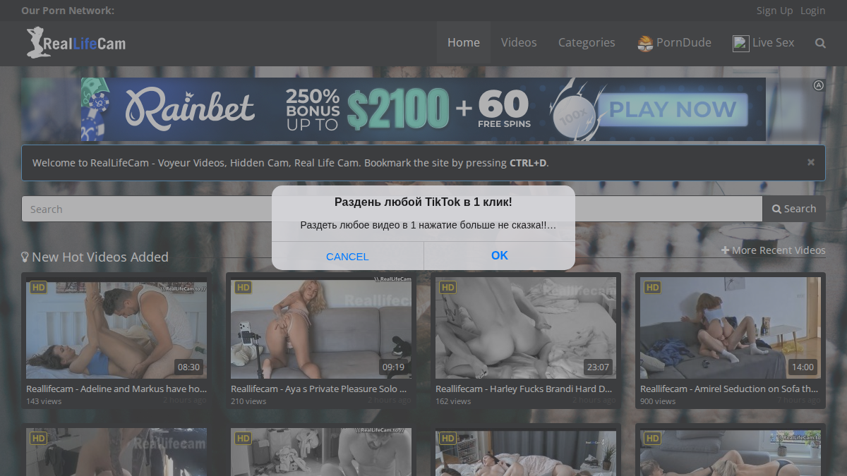 RealLifeCam.to website preview