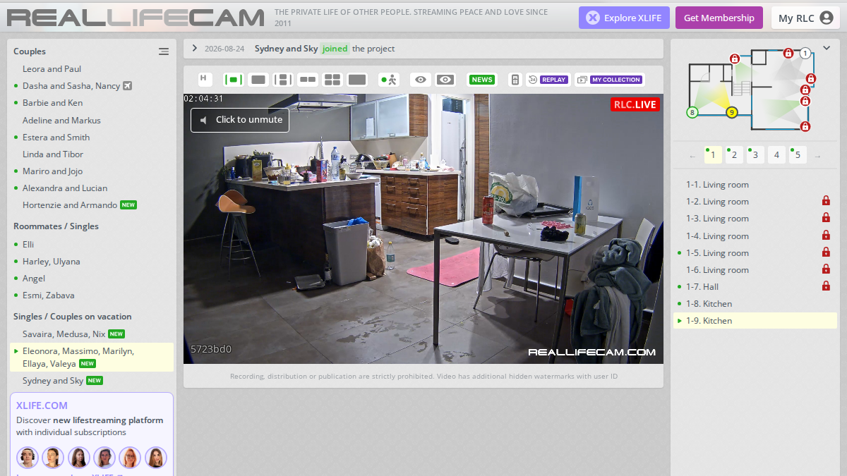 RealLifeCam website preview
