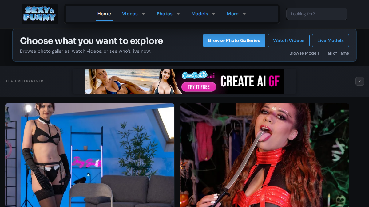 SexyAndFunny website preview
