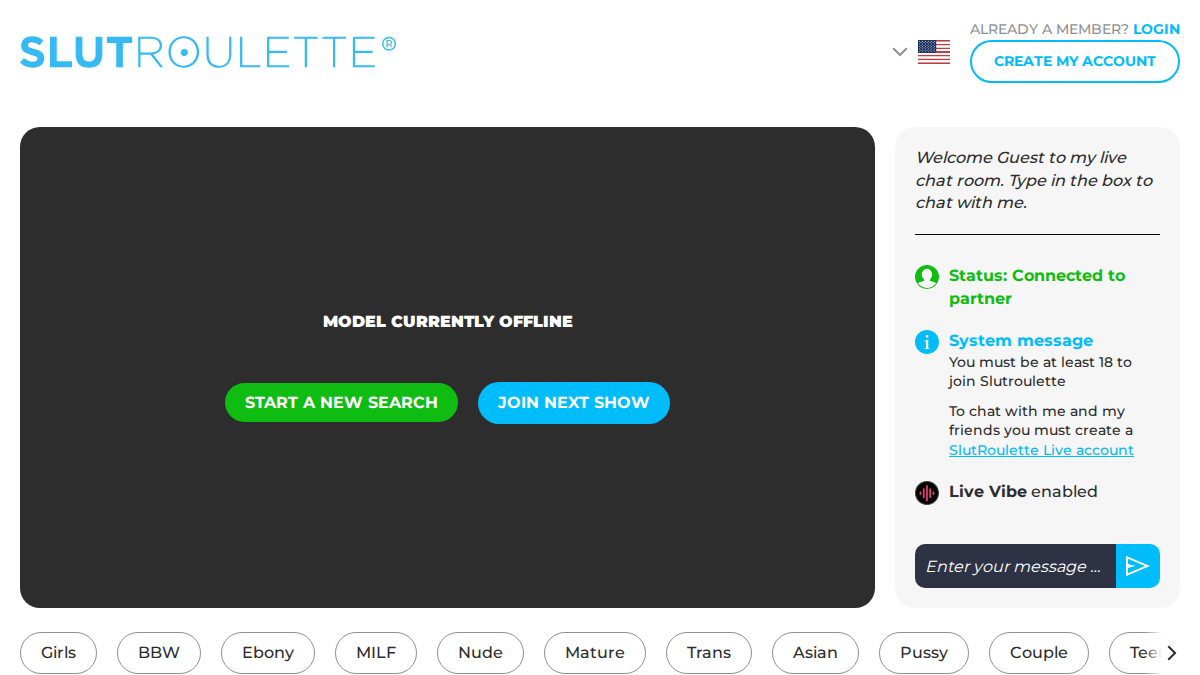 SlutRoulette website preview