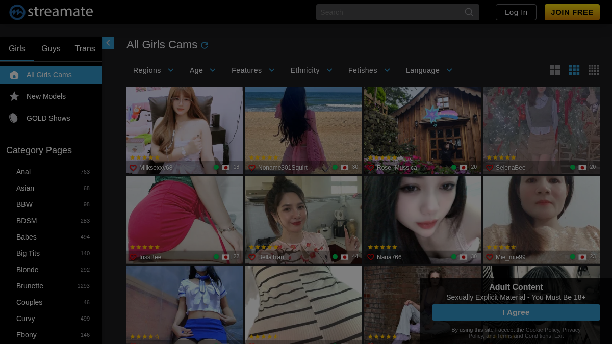 Streamate website preview