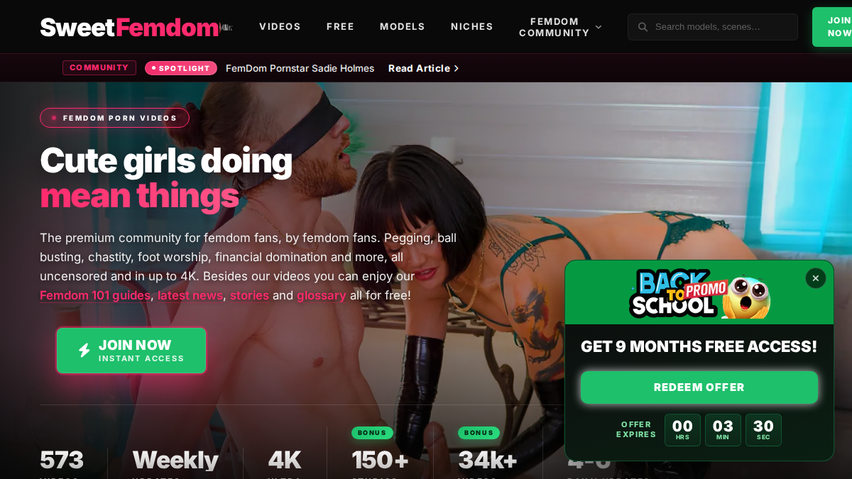 Sweet Femdom website preview