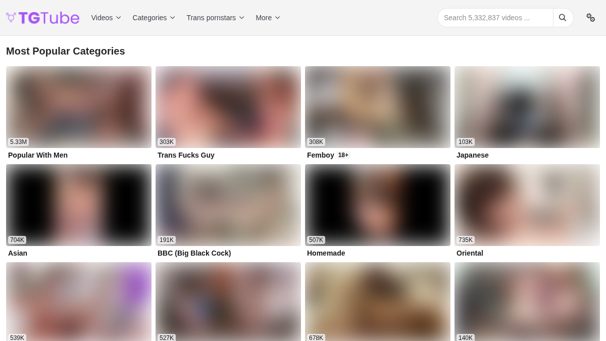 TGTube website preview