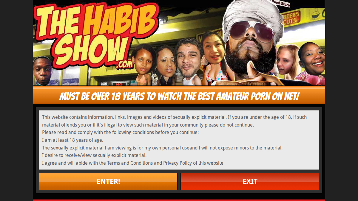 The Habib Show website preview