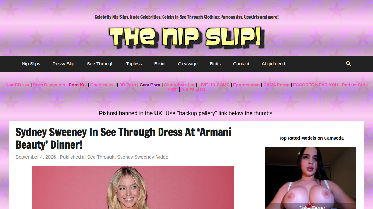 TheNipSlip website preview