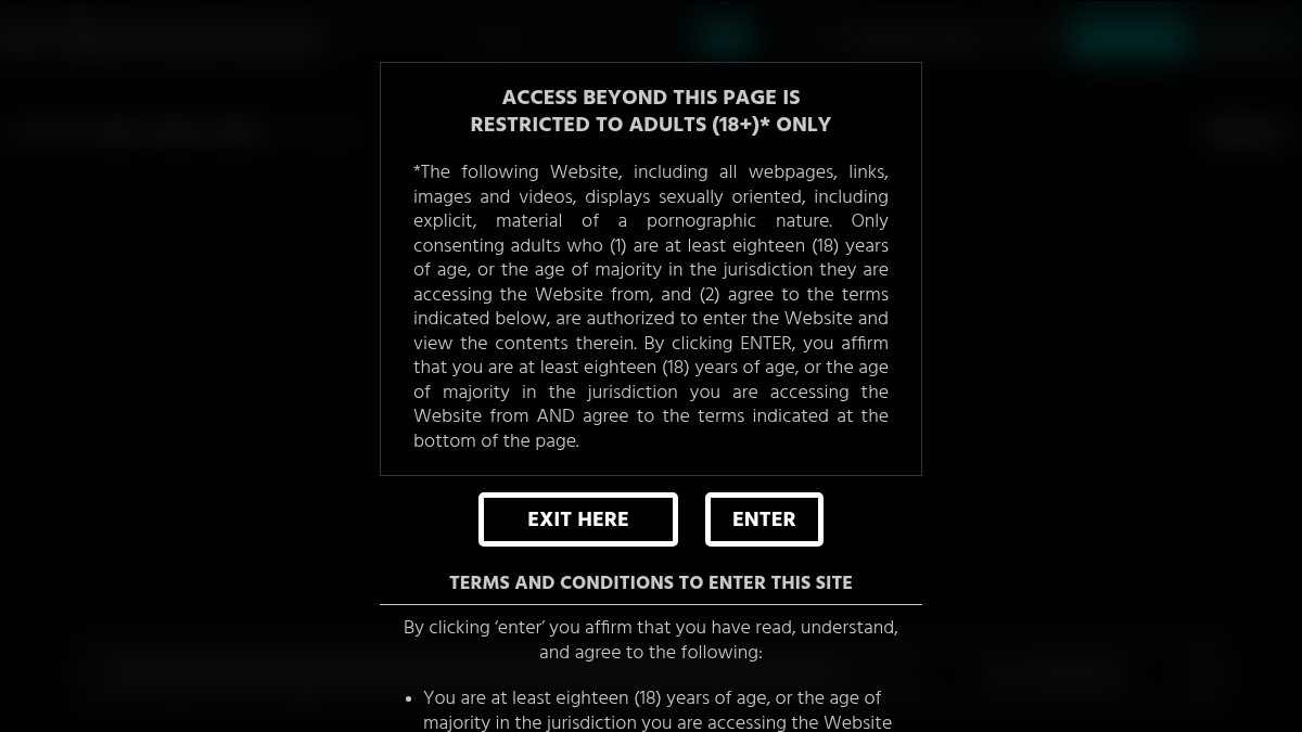 Transfixed website preview