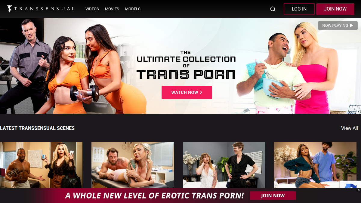 Transsensual website preview