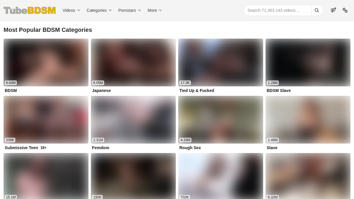 Tube BDSM website preview