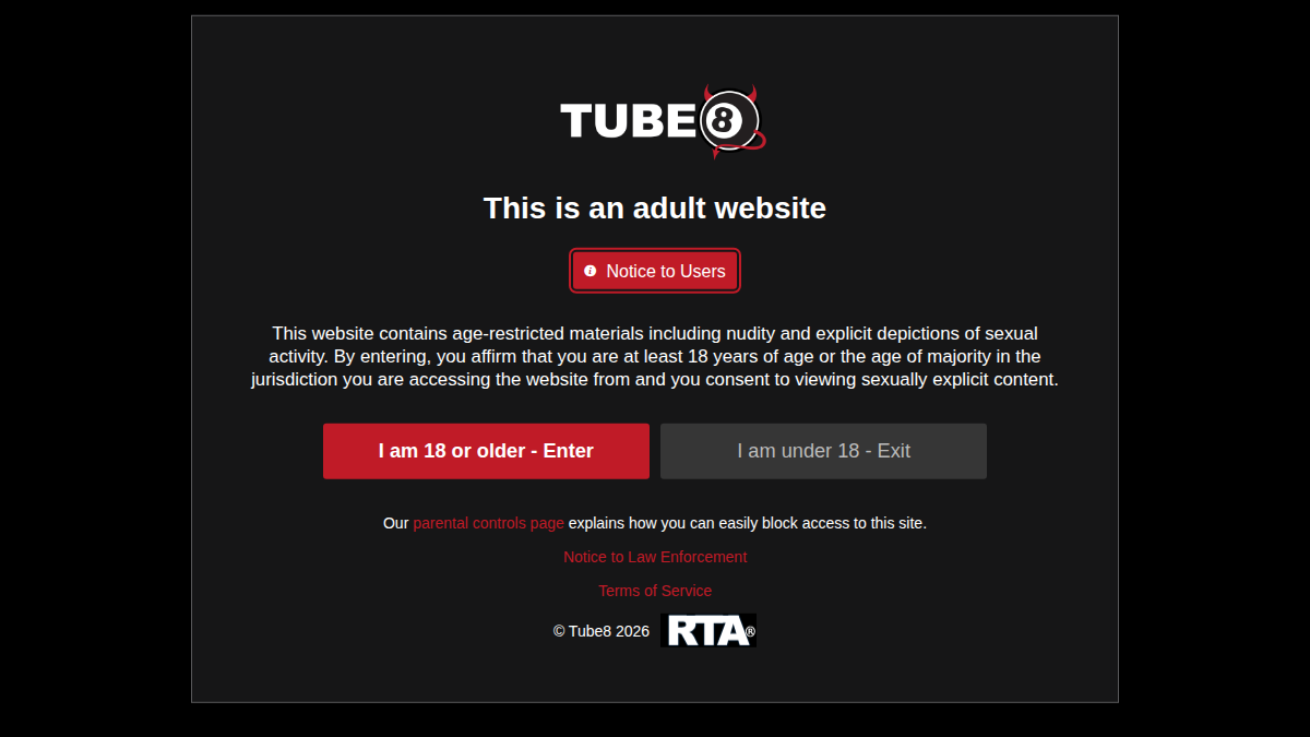 Tube8 website preview