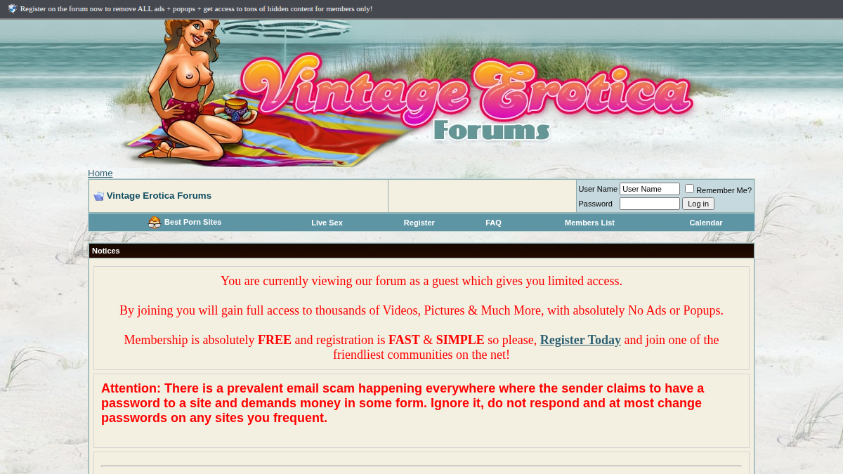 Vintage Erotica Forums website preview