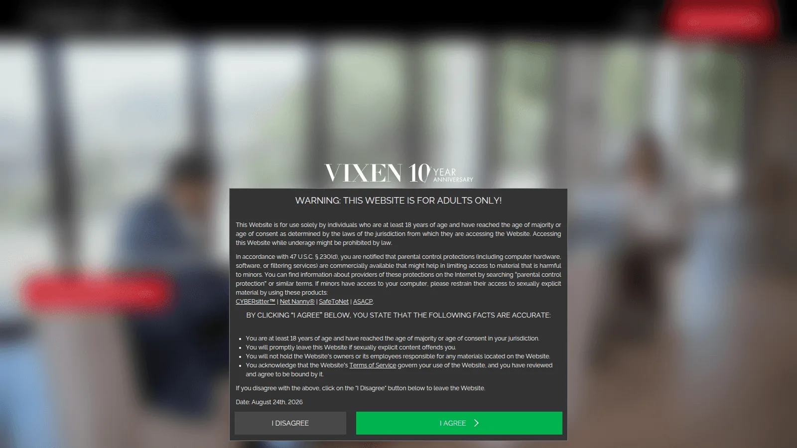 Vixen website preview