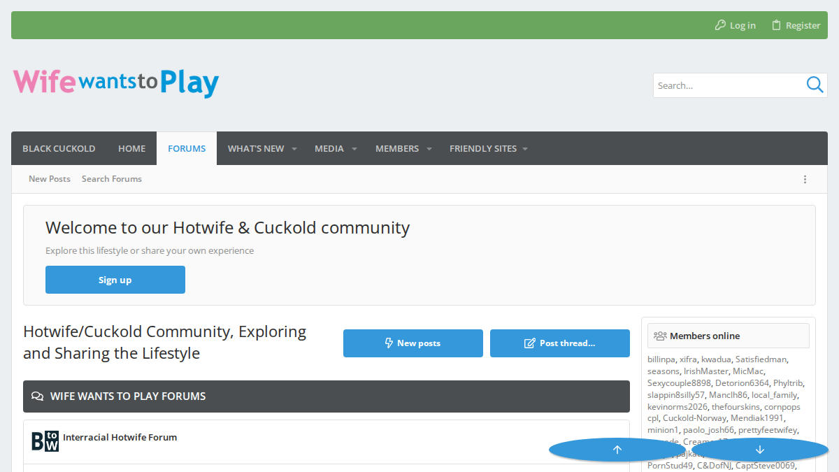 WifeWantsToPlay website preview