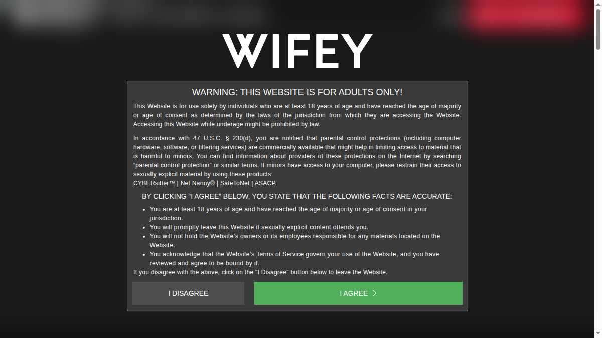 Wifey website preview