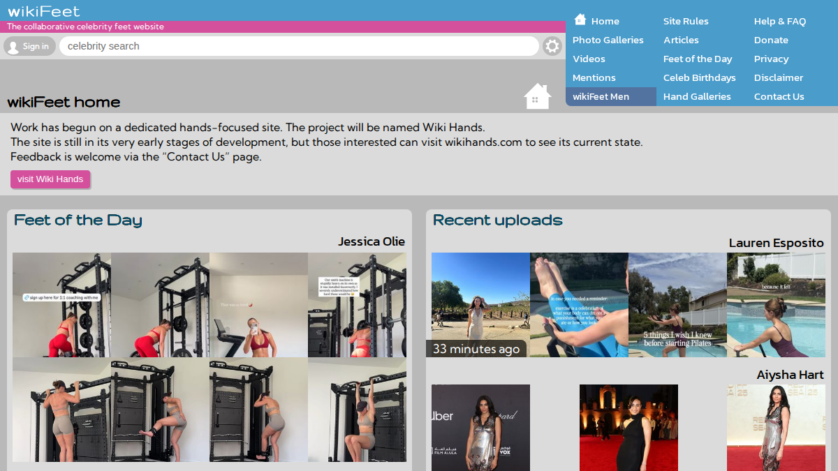 wikiFeet website preview
