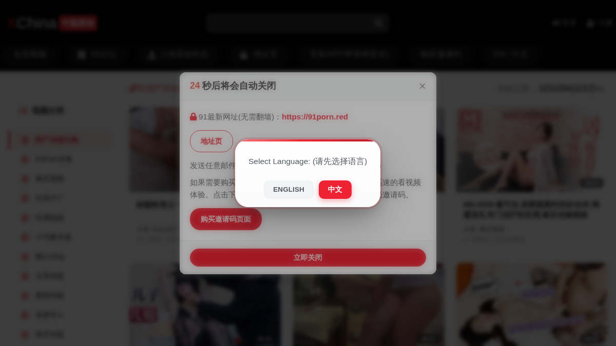 XChina website preview