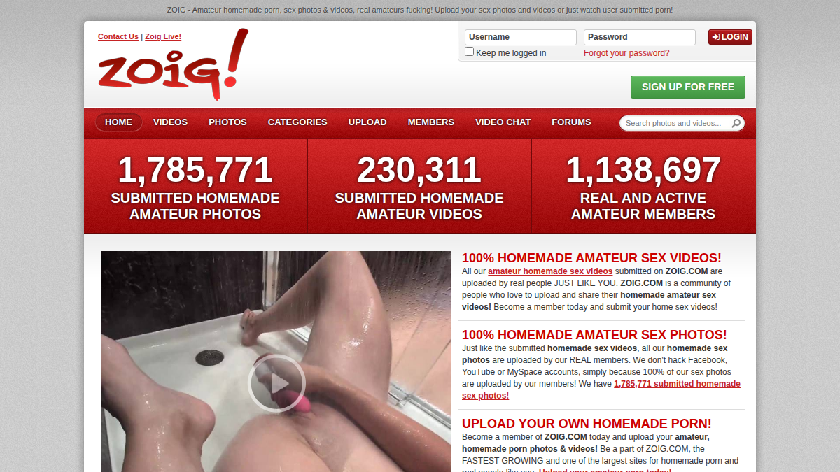 Zoig website preview